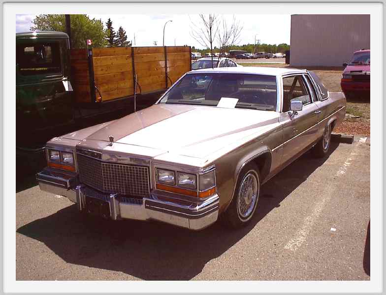029_1981 Cadillac