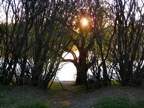 IMG_4394