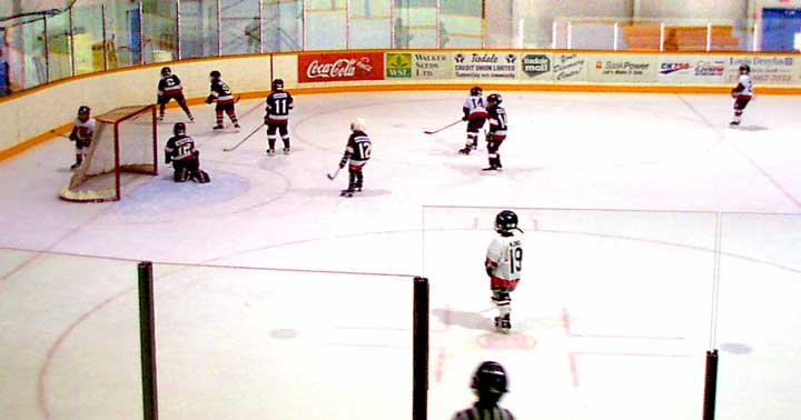 novice hockey