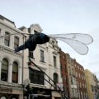 IMG_0204