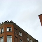 IMG_0232