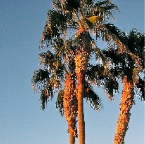 Images around the pool 6