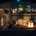Christmas at the Park 