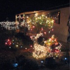 Christmas at the Park 