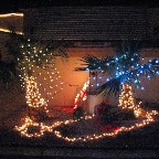 Christmas at the Park 