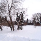 100_5257